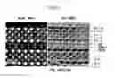 Fig. 08 - Superconducting oxide thin film