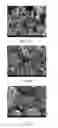 Fig. 04 - Method for manufacturing platinum nanoparticle solution and self-assembled platinum counter electrode thereof