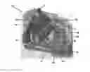 Fig. 01 - Circuit interruption device with constrictive arc extinguishing feature
