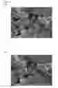 Fig. 16 - Target for ultraviolet light generation, electron beam-excited ultraviolet light source, and production method for target for ultraviolet light generation