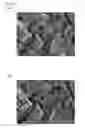 Fig. 19 - Target for ultraviolet light generation, electron beam-excited ultraviolet light source, and production method for target for ultraviolet light generation