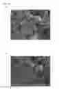 Fig. 20 - Target for ultraviolet light generation, electron beam-excited ultraviolet light source, and production method for target for ultraviolet light generation