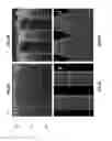 Fig. 07 - Deposition of boron and carbon containing materials
