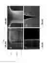 Fig. 22 - Deposition of boron and carbon containing materials