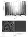 Fig. 02 - Basal plane dislocation elimination in 4H—SiC by pulsed rapid thermal annealing