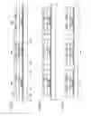 Fig. 08 - LAMINATING SYSTEM, IC SHEET, SCROLL OF IC SHEET, AND METHOD FOR MANUFACTURING IC CHIP
