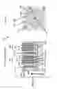 Fig. 09 - Silicon process compatible trench magnetic device