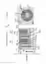 Fig. 08 - SILICON PROCESS COMPATIBLE TRENCH MAGNETIC DEVICE