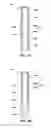 Fig. 02 - Methods of forming semiconductor structures including multi-portion liners