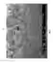 Fig. 02 - Diatomaceous energy storage devices