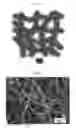 Fig. 03 - NANOFIBER AND USE THEREOF IN AN ELECTRODE