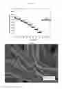 Fig. 14 - NANOFIBER AND USE THEREOF IN AN ELECTRODE