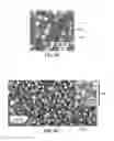 Fig. 05 - Nanodevices for generating power from molecules and batteryless sensing