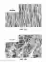 Fig. 30 - Nanodevices for generating power from molecules and batteryless sensing