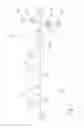 Fig. 02 - Standby power supply system and methods for isolating a local power distribution network from a superordinate power supply network