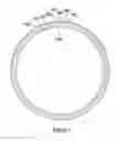 Fig. 02 - STATOR OR ROTOR