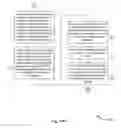 Fig. 22 - Customer environment network functions virtualization (NFV)