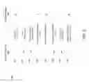 Fig. 06 - Dynamically switched multicast delivery