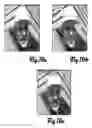 Fig. 12 - Content adaptive impairments compensation filtering for high efficiency video coding