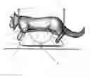 Fig. 01 - Pet Spa Chair