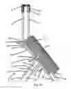 Fig. 02 - Force Transfer Harness and Method
