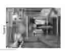 Fig. 10 - Human and large-mammal lung bioreactor