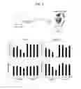Fig. 02 - Method for eliciting plant immune responses by seed priming of heat-treated Bacillus culture solution