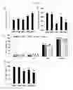 Fig. 06 - Method for eliciting plant immune responses by seed priming of heat-treated Bacillus culture solution