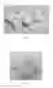Fig. 09 - METHODS AND COMPOSITIONS FOR CONSUMABLES