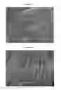 Fig. 02 - Method for Texturing Vegetable Fibres and Proteins