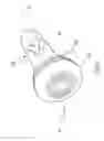 Fig. 16 - DENTAL HYGIENE ITEM