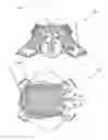 Fig. 02 - Decorative step stool cover