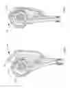 Fig. 06 - Vacuum cleaning appliance