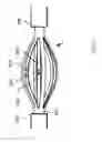 Fig. 06 - IMAGING AND TREATMENT DEVICE