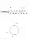 Fig. 07 - System and method for locating and identifying the functional nerves innervating the wall of arteries and catheters for same