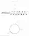 Fig. 08 - System and method for locating and identifying the functional nerves innervating the wall of arteries and catheters for same