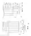 Fig. 16 - Endoscopes having multiple lumens for tissue acquisition and removal and related methods of use