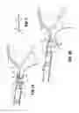 Fig. 05 - Specimen retrieval device with pouch stop