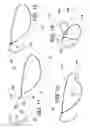 Fig. 07 - MULTIPLE LOOP SURGICAL SNARE ASSEMBLY AND SUTURING METHODS THEREOF