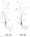 Fig. 09 - MULTIPLE LOOP SURGICAL SNARE ASSEMBLY AND SUTURING METHODS THEREOF