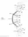 Fig. 01 - Adjusting spinal curvature
