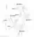 Fig. 29 - Revisable anterior cervical plating system