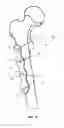 Fig. 02 - CABLE PLUG