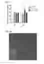 Fig. 06 - NANOCOMPOSITES FOR SOFT TISSUE REPAIR AND REPLACEMENT