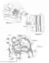 Fig. 16 - Devices, systems, and methods for reshaping a heart valve annulus, including the use of a bridge implant having an adjustable bridge stop