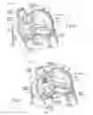 Fig. 17 - Devices, systems, and methods for reshaping a heart valve annulus, including the use of a bridge implant having an adjustable bridge stop