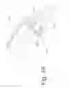 Fig. 17 - Bone fixation and fusion device