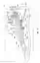 Fig. 46 - Adjustable length prosthetic foot
