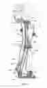 Fig. 04 - Robotic exoskeleton with fall control and actuation