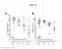 Fig. 05 - Clinical grade sodium alginate for microencapsulation of myofibroblasts isolated from wharton jelly for prevention and treatment of autoimmune and inflammatory diseases